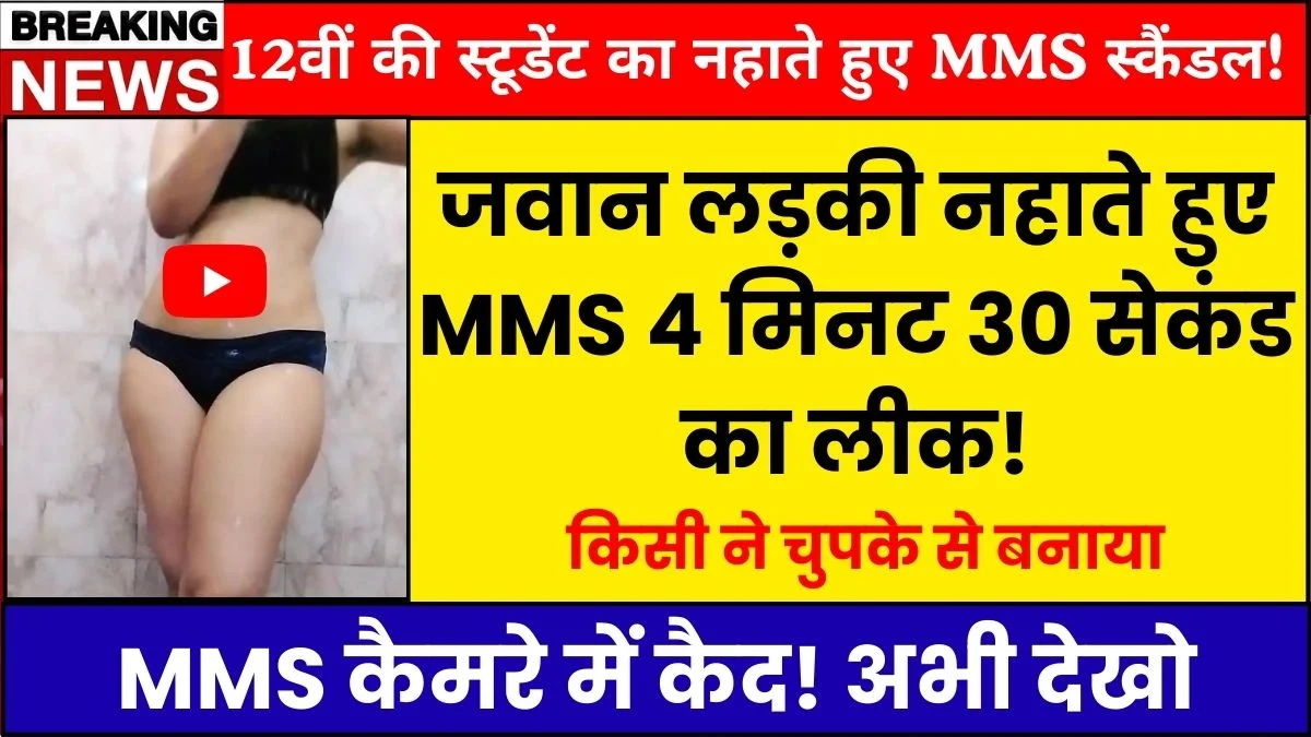 VI ₹199 Smart Plan Balances Data and Voice Calls